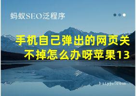 手机自己弹出的网页关不掉怎么办呀苹果13