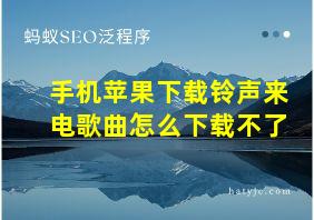 手机苹果下载铃声来电歌曲怎么下载不了