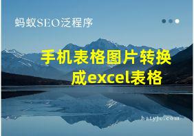 手机表格图片转换成excel表格