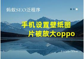 手机设置壁纸图片被放大oppo