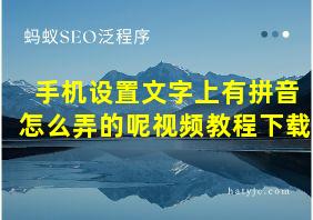 手机设置文字上有拼音怎么弄的呢视频教程下载