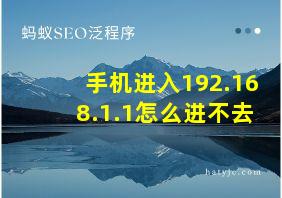 手机进入192.168.1.1怎么进不去