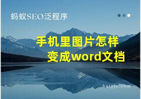 手机里图片怎样变成word文档