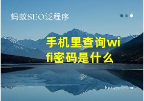 手机里查询wifi密码是什么