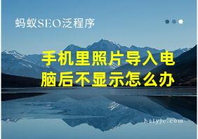 手机里照片导入电脑后不显示怎么办