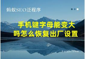 手机键字母能变大吗怎么恢复出厂设置