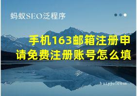 手机163邮箱注册申请免费注册账号怎么填