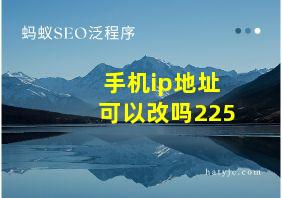 手机ip地址可以改吗225