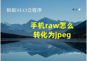 手机raw怎么转化为jpeg