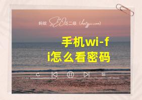 手机wi-fi怎么看密码