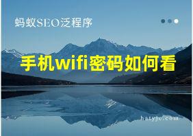 手机wifi密码如何看