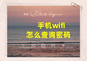 手机wifi怎么查询密码