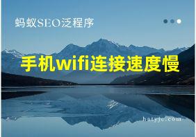 手机wifi连接速度慢