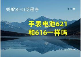 手表电池621和616一样吗