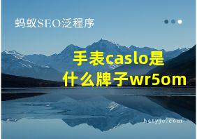 手表caslo是什么牌子wr5om