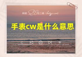 手表cw是什么意思