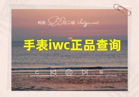 手表iwc正品查询