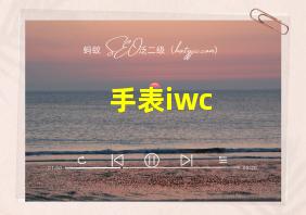 手表iwc