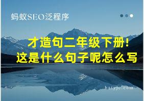 才造句二年级下册!这是什么句子呢怎么写