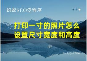 打印一寸的照片怎么设置尺寸宽度和高度