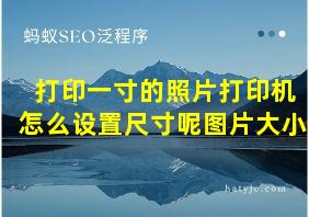 打印一寸的照片打印机怎么设置尺寸呢图片大小