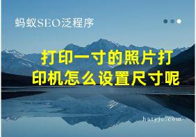 打印一寸的照片打印机怎么设置尺寸呢