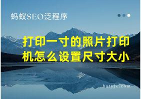 打印一寸的照片打印机怎么设置尺寸大小