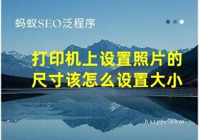 打印机上设置照片的尺寸该怎么设置大小