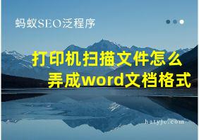 打印机扫描文件怎么弄成word文档格式