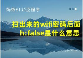 扫出来的wifi密码后面h:false是什么意思