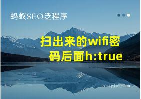 扫出来的wifi密码后面h:true