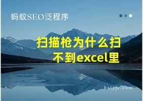 扫描枪为什么扫不到excel里