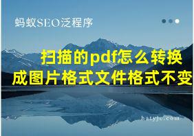 扫描的pdf怎么转换成图片格式文件格式不变