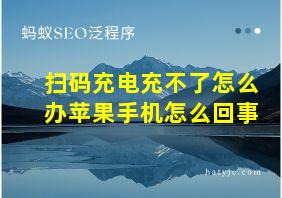 扫码充电充不了怎么办苹果手机怎么回事