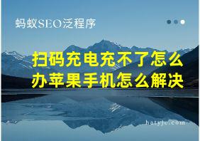 扫码充电充不了怎么办苹果手机怎么解决