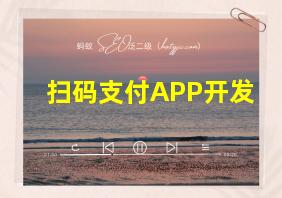 扫码支付APP开发