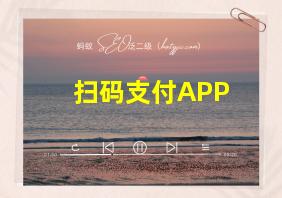 扫码支付APP