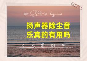 扬声器除尘音乐真的有用吗