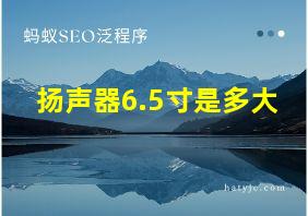 扬声器6.5寸是多大