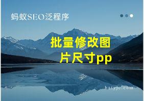 批量修改图片尺寸pp