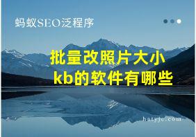 批量改照片大小kb的软件有哪些