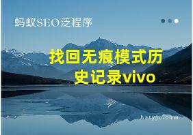 找回无痕模式历史记录vivo