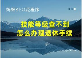 技能等级查不到怎么办理退休手续