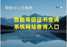 技能等级证书查询系统网站查询入口