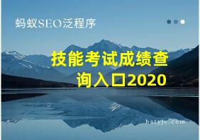 技能考试成绩查询入口2020