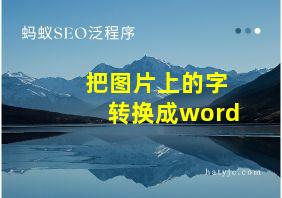 把图片上的字转换成word