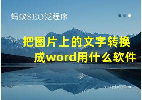 把图片上的文字转换成word用什么软件