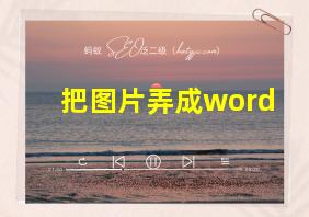 把图片弄成word