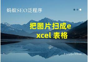 把图片扫成excel 表格