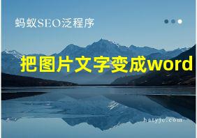 把图片文字变成word